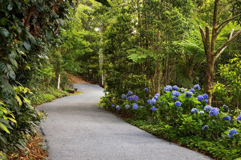 162 Repeater Station Rd, Springbrook, QLD 4213