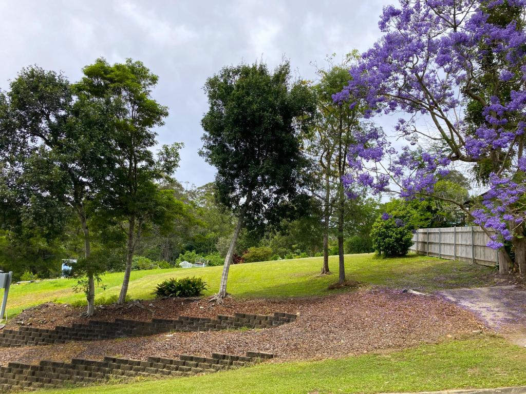 3 Lucas Ave, Bellingen, NSW 2454