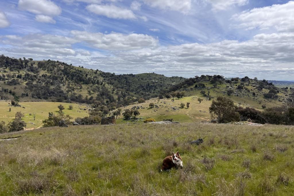 Lot 4 Tarrants Gap Rd, Wyangala, NSW 2808