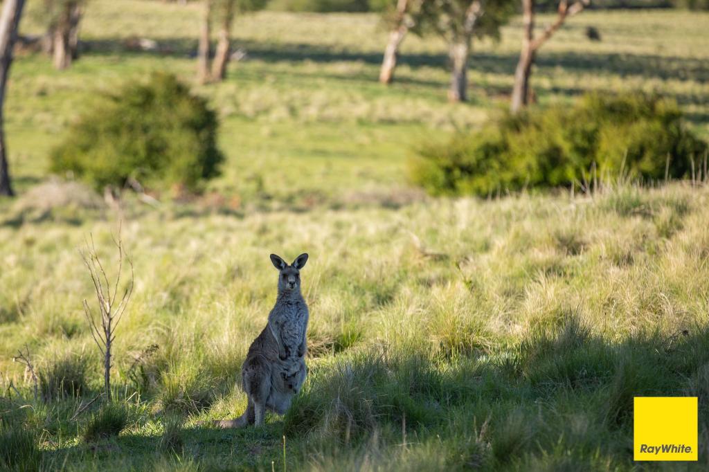 15 KARINA CL, ARMIDALE, NSW 2350