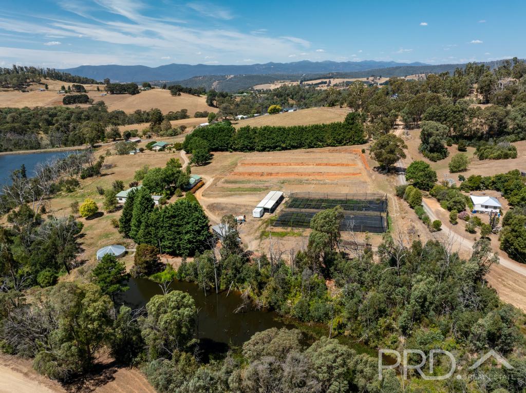 56 Mines Rd, Batlow, NSW 2730