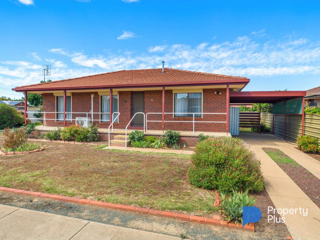 1/17 Fraser St, Rochester, VIC 3561