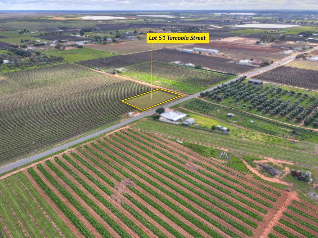 LOT 51 TARCOOLA ST, RENMARK, SA 5341