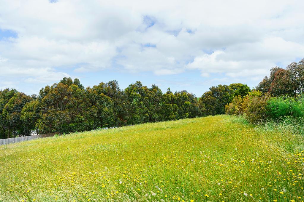 96 Isabella Bvd, Korumburra, VIC 3950