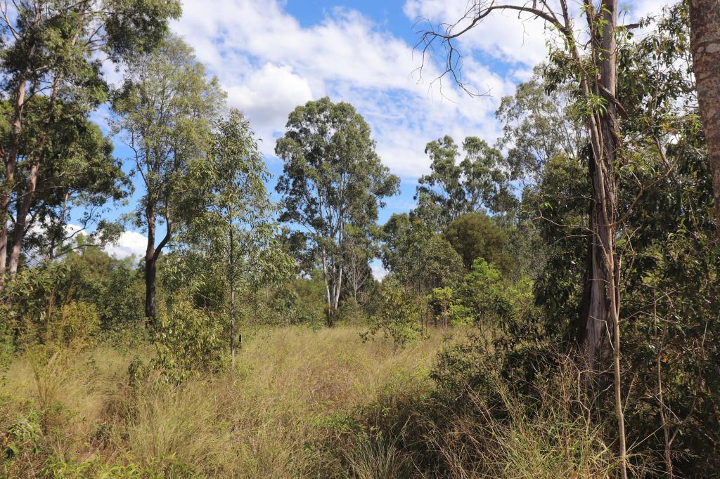 Lot A Forestry Rd, Gurgeena, QLD 4626