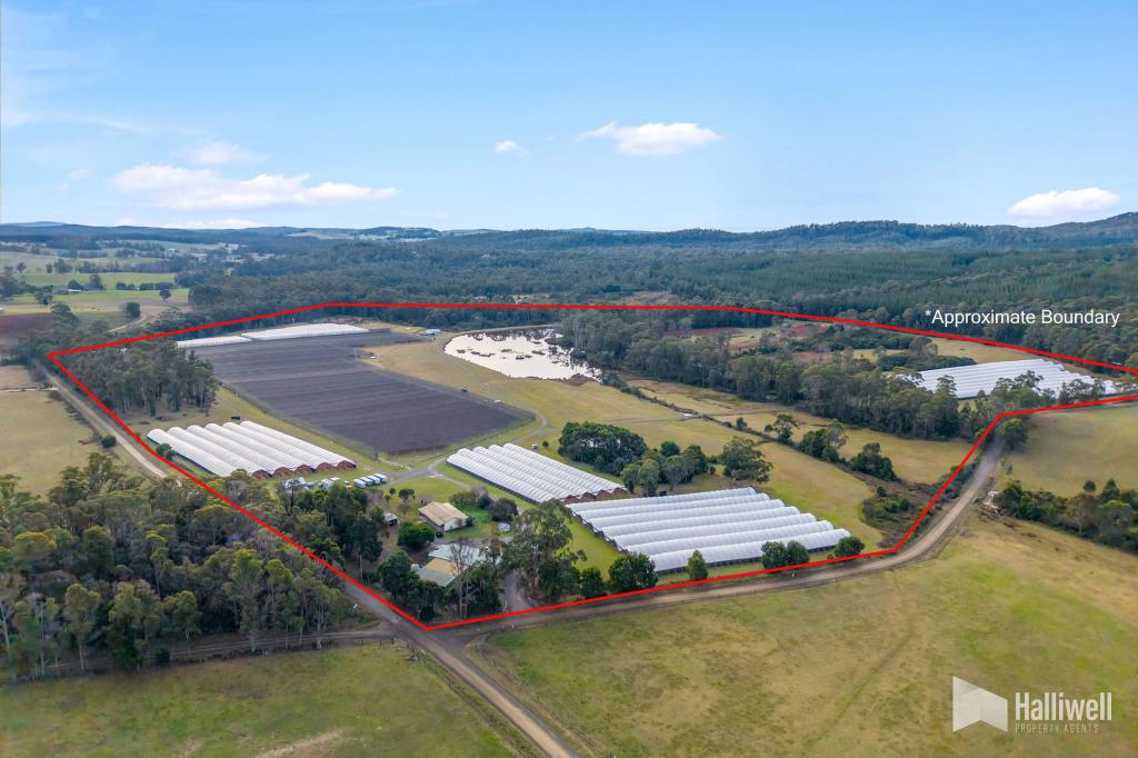 46 SHORT CUT RD, LEBRINA, TAS 7254