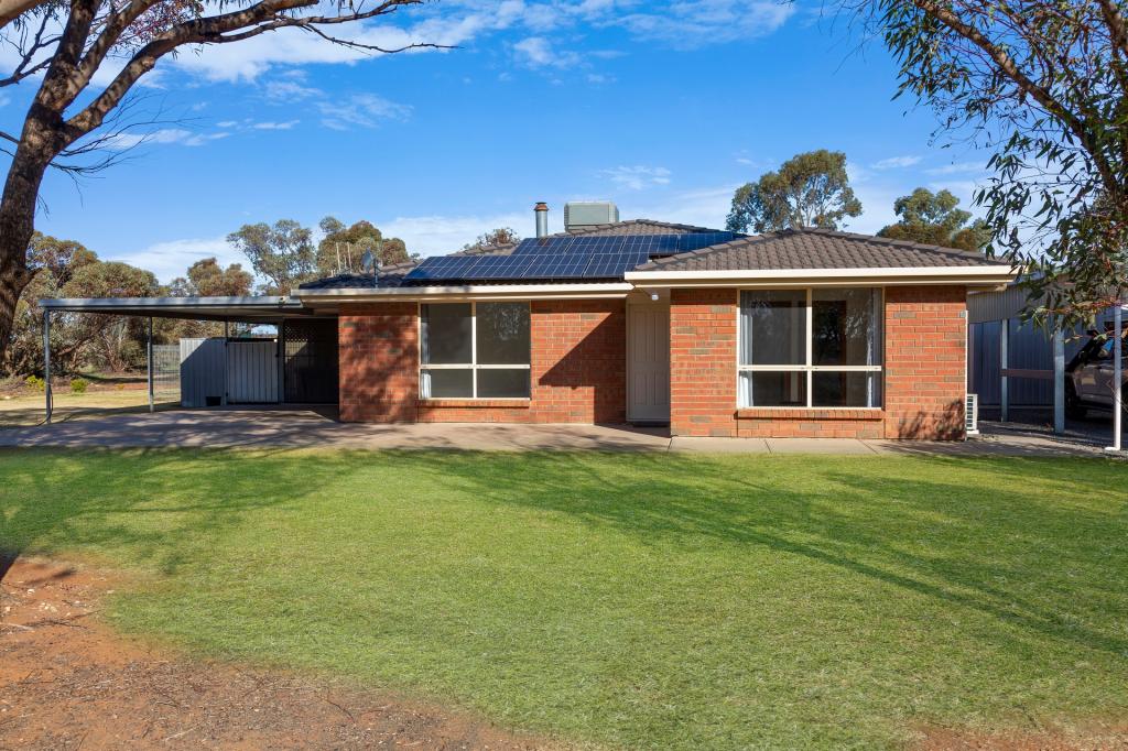 163 Battams Rd, Moorook, SA 5332