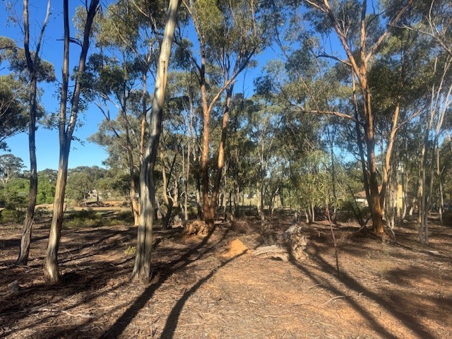 2-20 Godfrey St, Wedderburn, VIC 3518