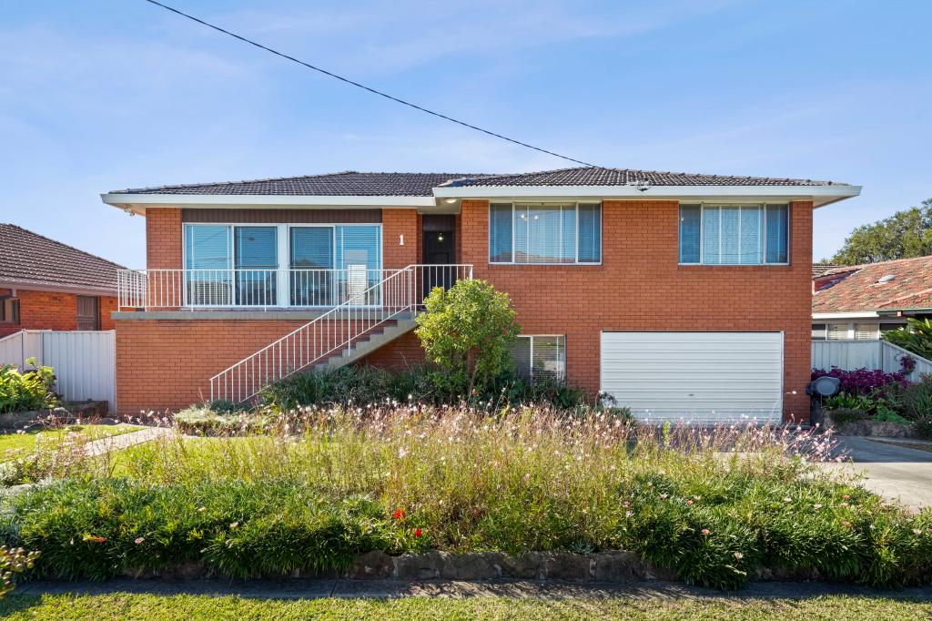 1b Macnamara Ave, Concord, NSW 2137