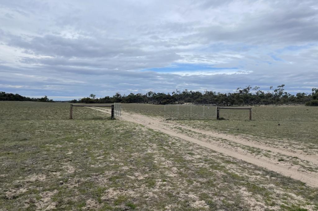 1287 Baan Hill Rd, Lameroo, SA 5302