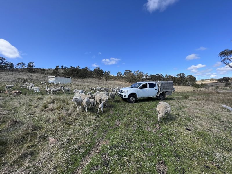 Lot 188 Hanworth Rd, Bannaby, NSW 2580