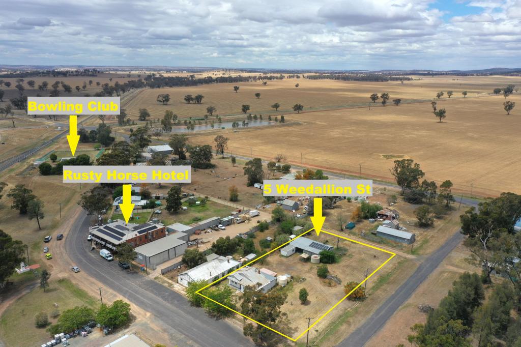 5 Weedallion Street, Bribbaree Via, Young, NSW 2594