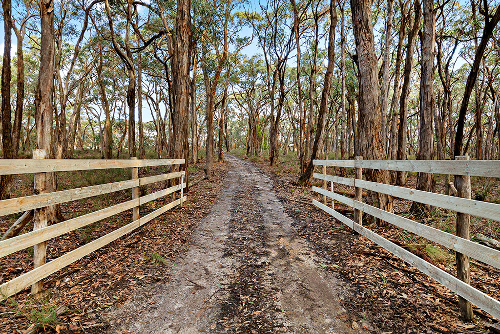 200 Rowlers Rd, Snake Valley, VIC 3351