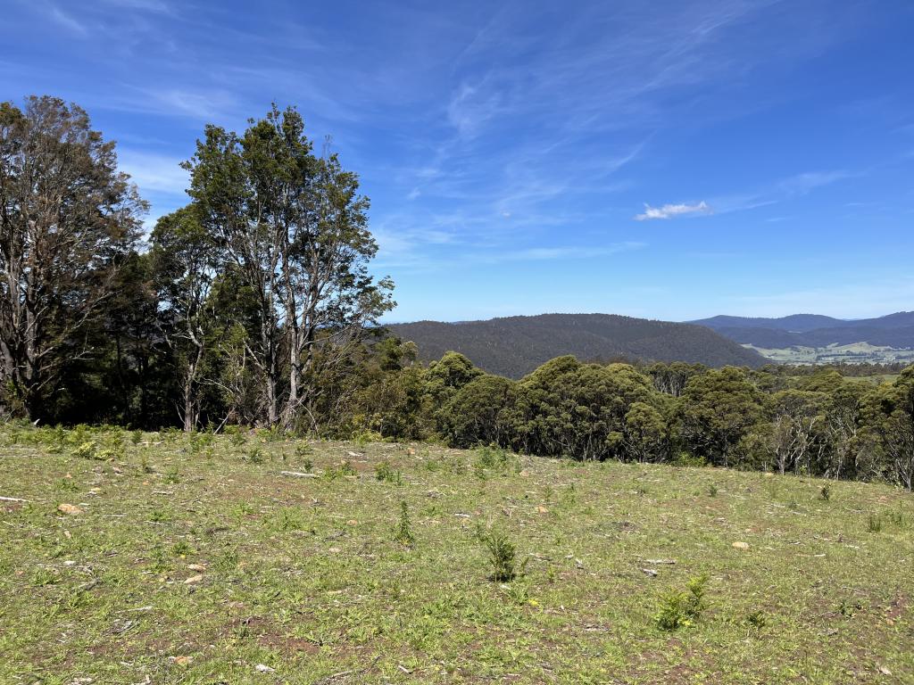 28834 Tasman Hwy, Weldborough, TAS 7264
