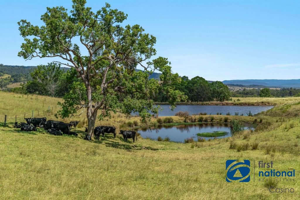 10366 Mount Lindesay Rd, Legume, NSW 2476