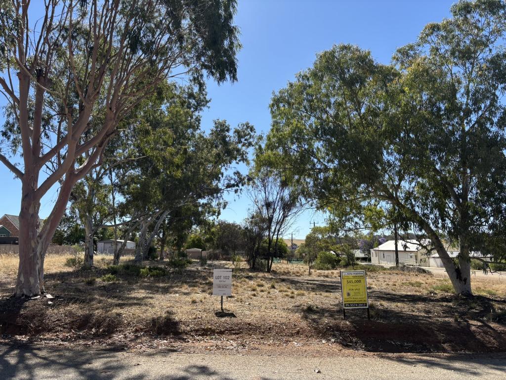 41 Smith St, Bolgart, WA 6568