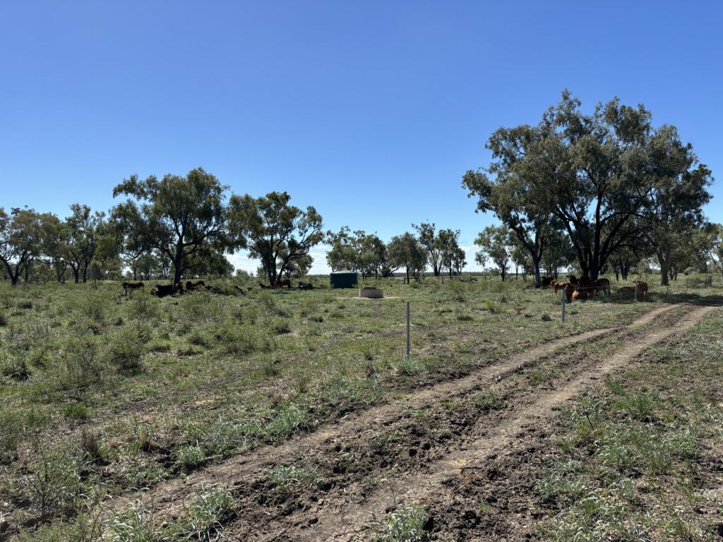 Contact Agent For Address, Goondiwindi, QLD 4390