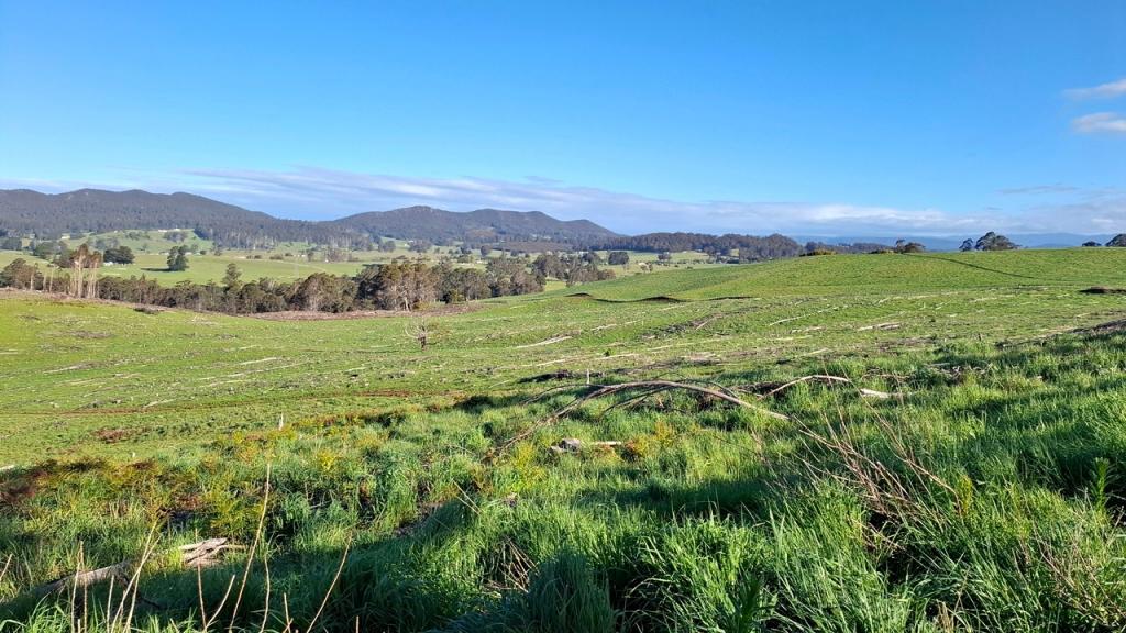 108b Weeks Rd, Barrington, TAS 7306