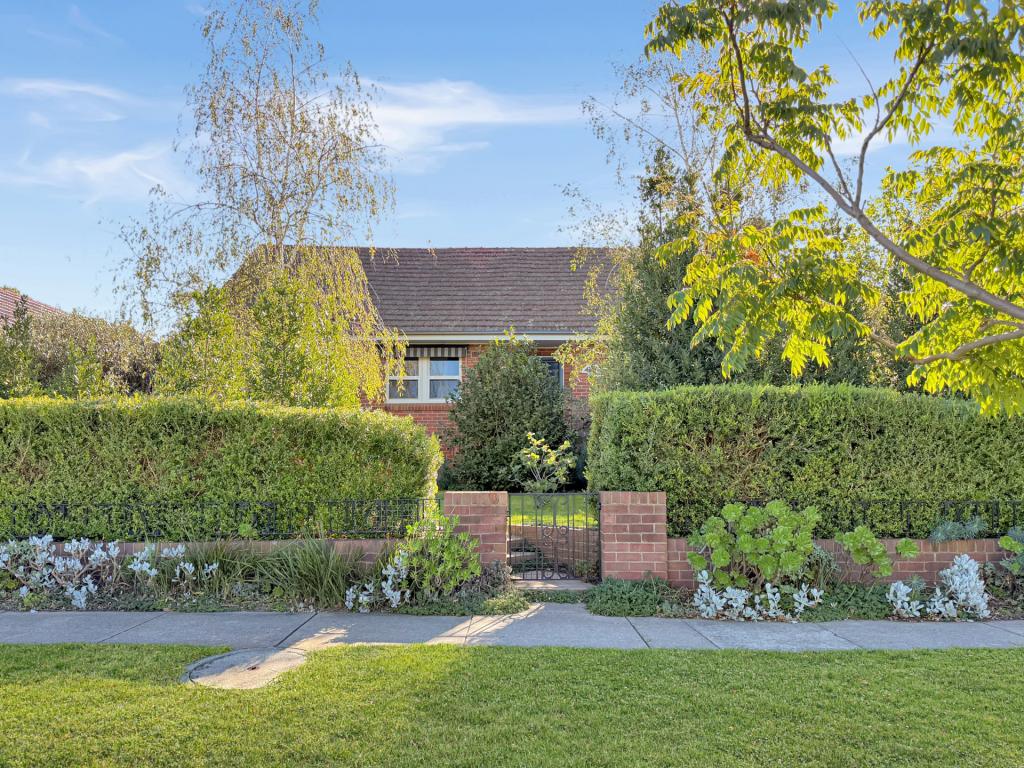 41 Wombat St, Young, NSW 2594