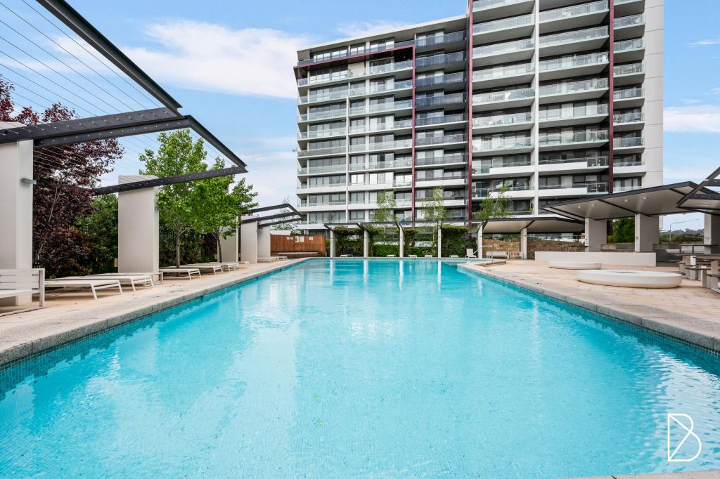 141/7 Irving St, Phillip, ACT 2606