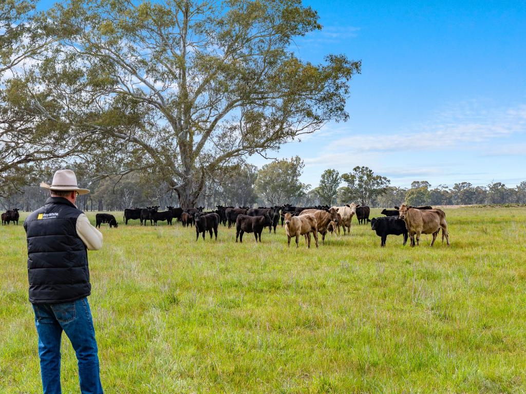 519-577 BASIN RD, TARNOOK, VIC 3670
