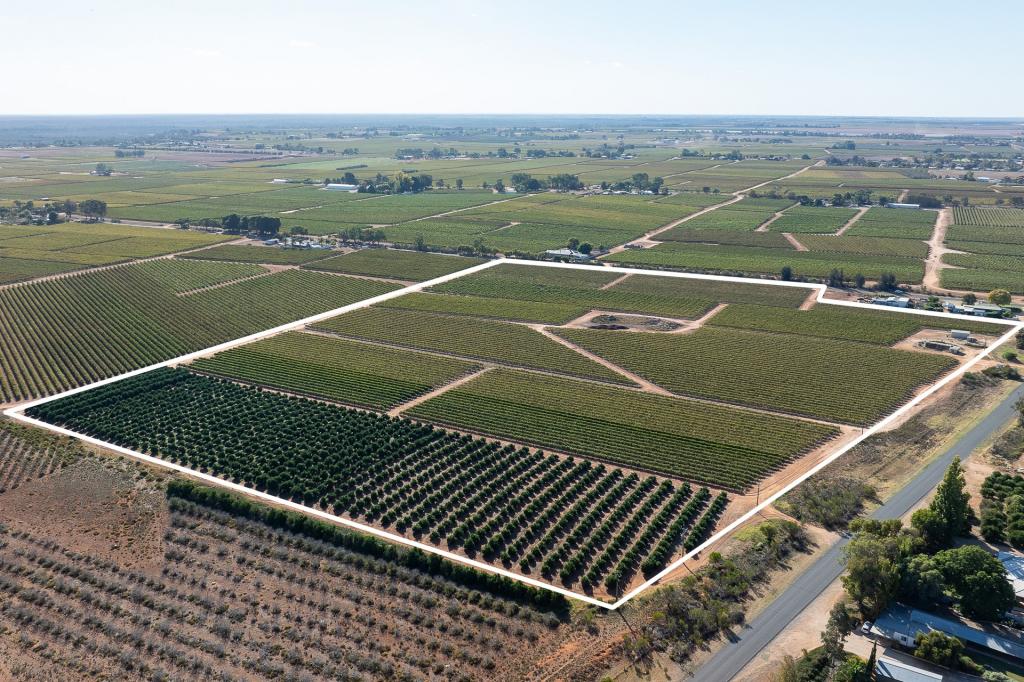2 Balfour Ogilvy Ave, Loxton, SA 5333