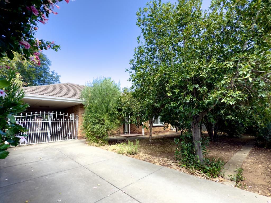 117 Marian Rd, Firle, SA 5070