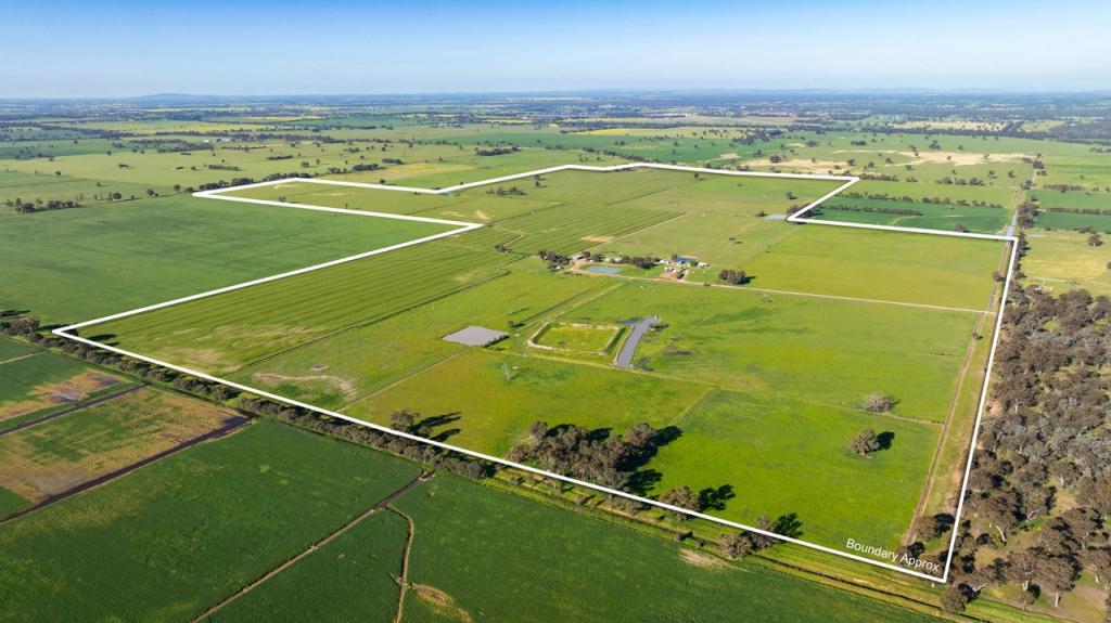 65 Lee Valley Rd, Collendina, NSW 2646
