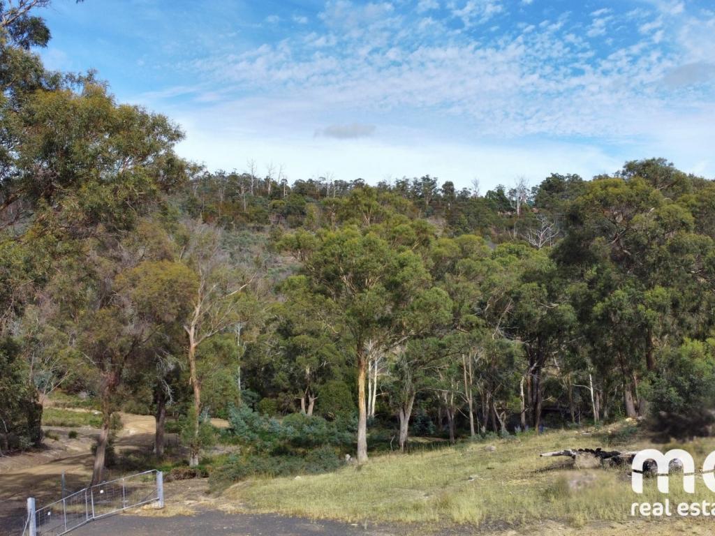 490 Molesworth Rd, Molesworth, TAS 7140