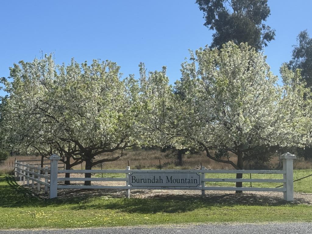 12 Ironbark Dr, Warialda, NSW 2402