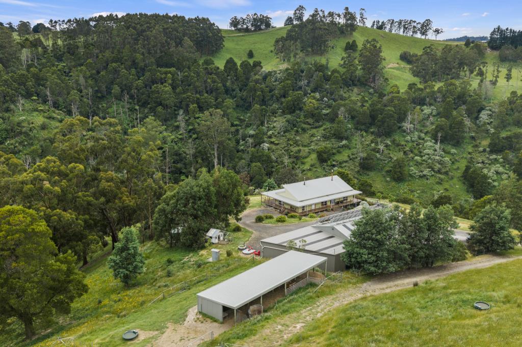 350 Wild Dog Rd, Strzelecki, VIC 3950