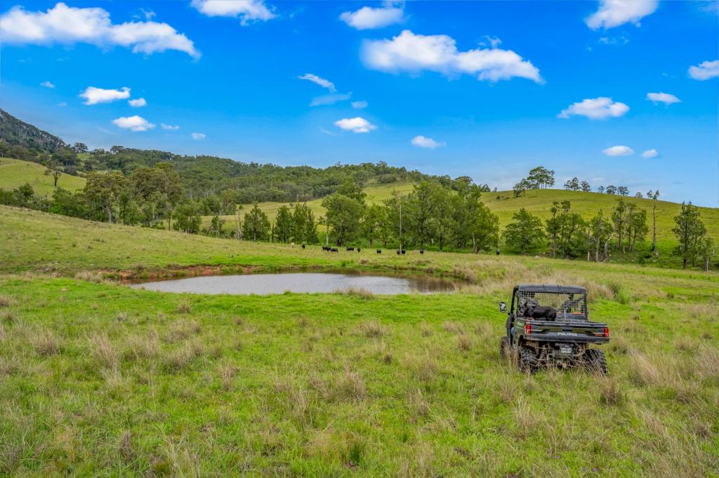 CARROWBROOK ROAD MOUNT OLIVE, SINGLETON, NSW 2330