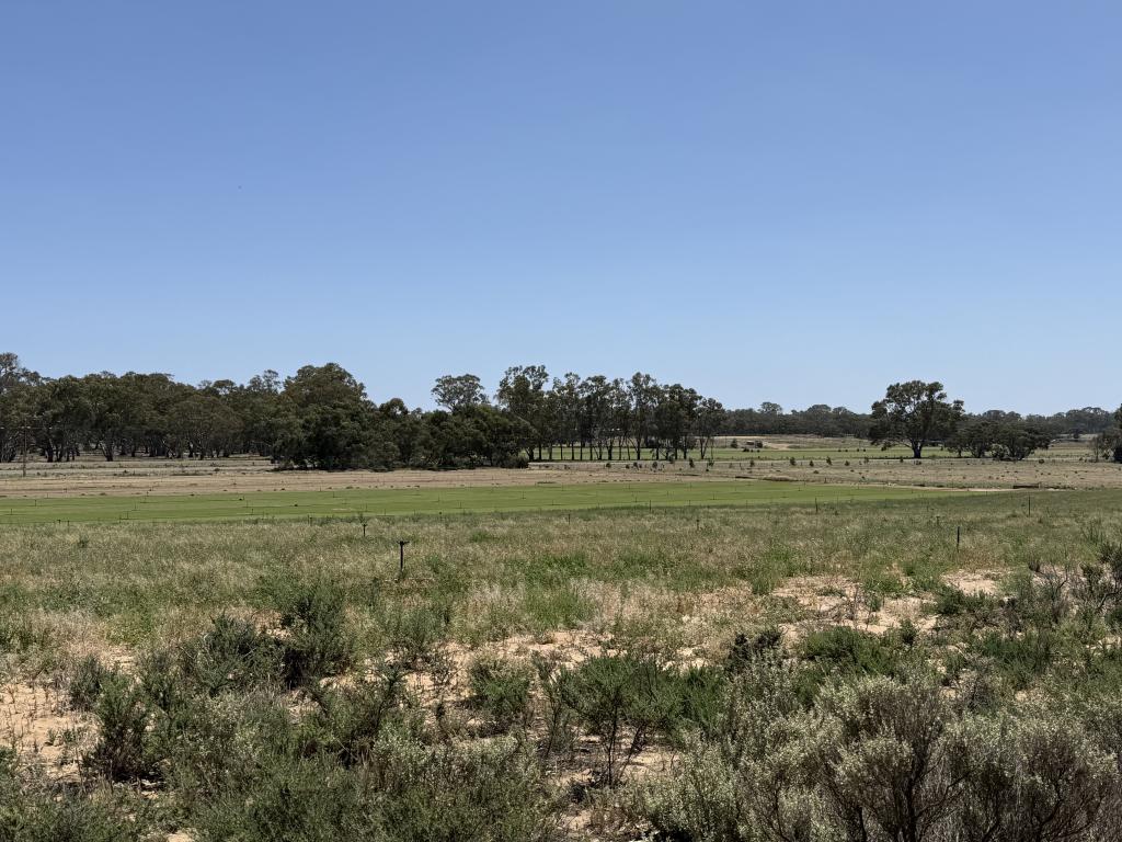Lot 390 Black Hill Rd, Cambrai, SA 5353