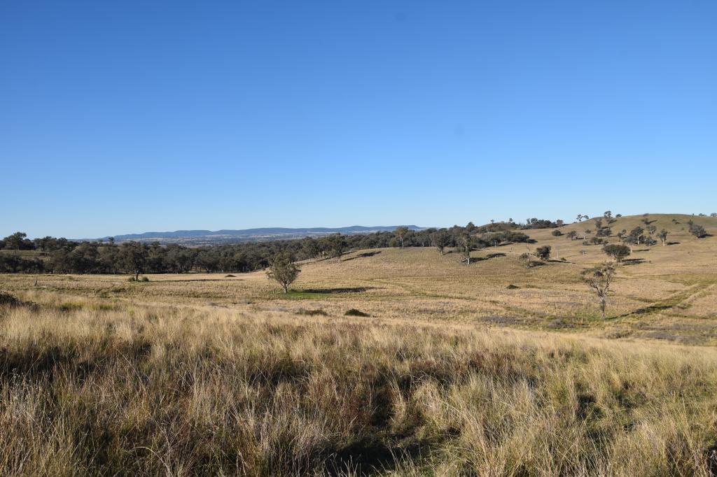 804 Old Yullundry Rd, Yullundry, NSW 2867