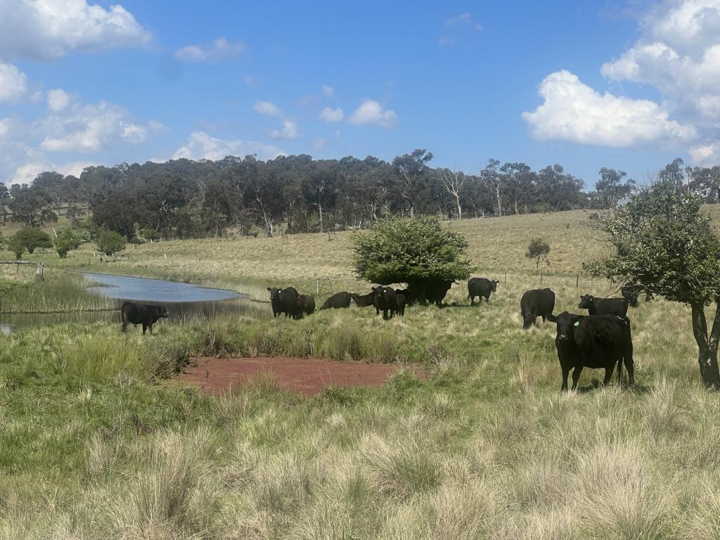 400 BULLOCK MOUNTAIN RD, GLEN INNES, NSW 2370