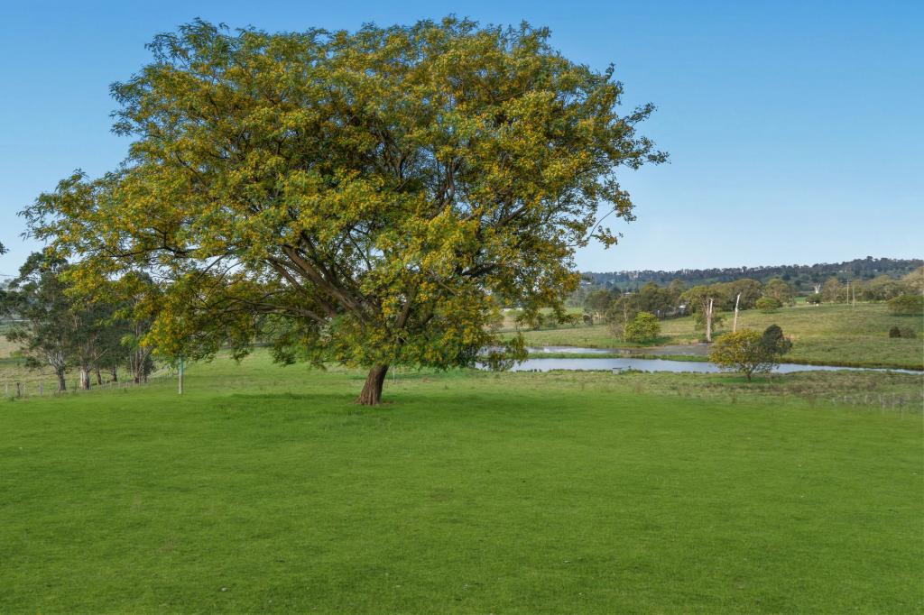 256 Veresdale Scrub School Rd, Veresdale Scrub, QLD 4285