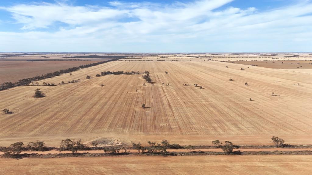 'Anglea & Ryan Lots'/434 Robinvale-Sea Lake Rd, Chinkapook, VIC 3546