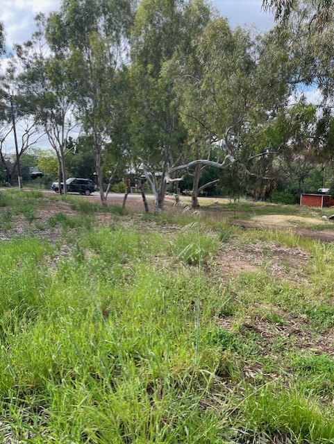 19 Harriott St, York, WA 6302