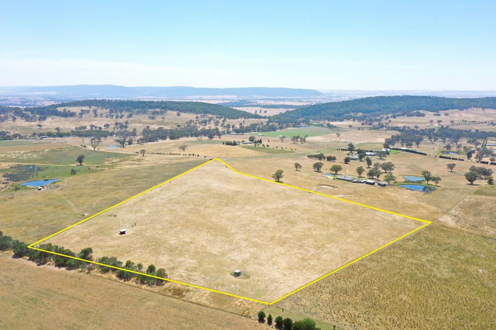 195 Wambanumba Dr, Young, NSW 2594