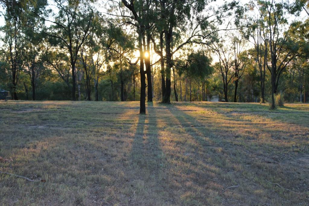 14 Kingfisher Ct, Regency Downs, QLD 4341