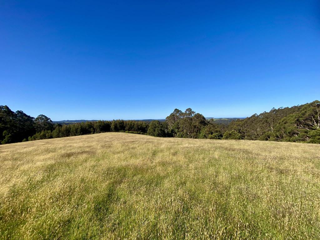 1431 Preolenna Rd, Moorleah, TAS 7325