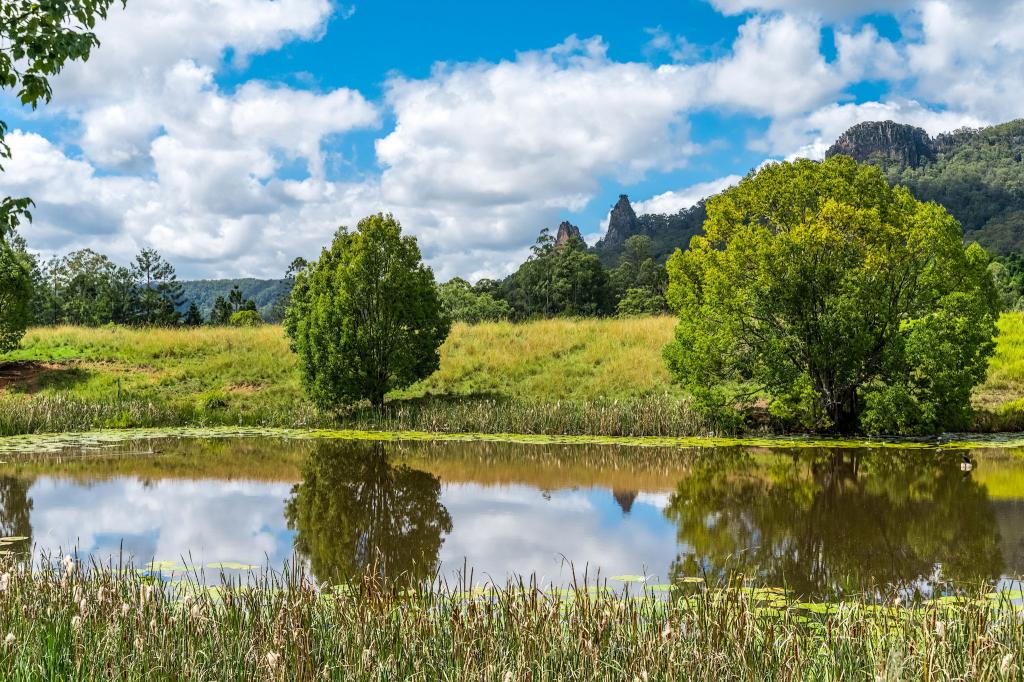 219 Stony Chute Rd, Nimbin, NSW 2480