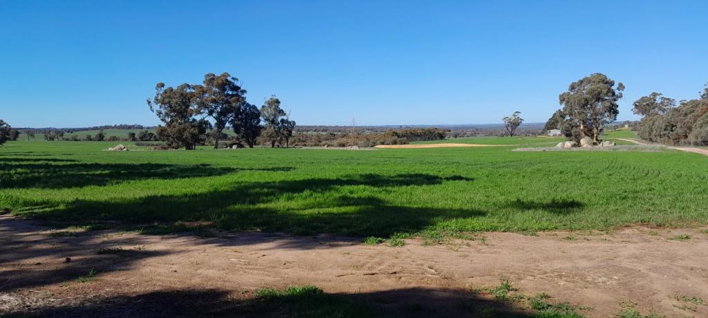 210 Yenellin Rd, East Pingelly, WA 6308