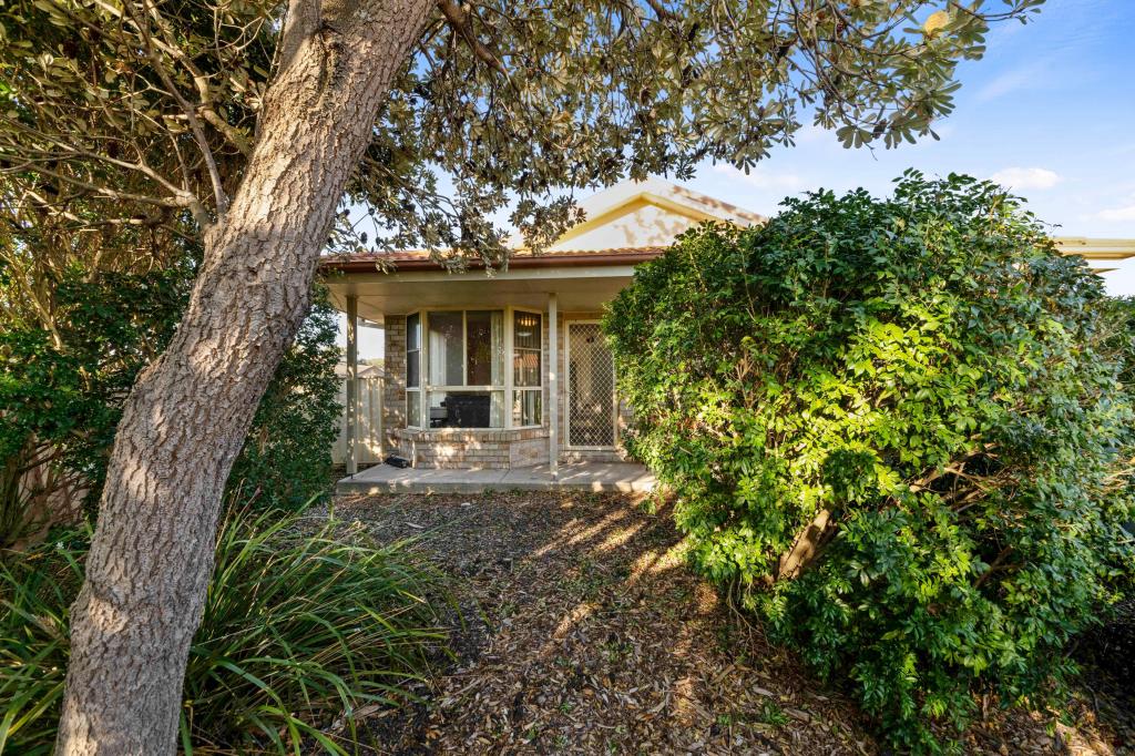 1/34 Eveleigh Ct, Scone, NSW 2337