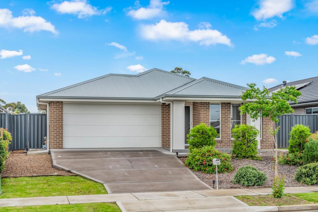 19 Springfield Dr, Lochinvar, NSW 2321