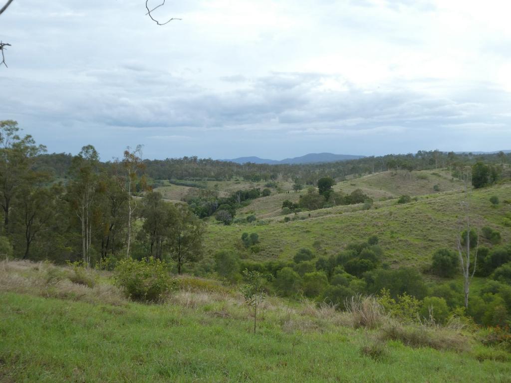 L 1305 SETTLEMENT RD, HORSE CAMP, QLD 4671