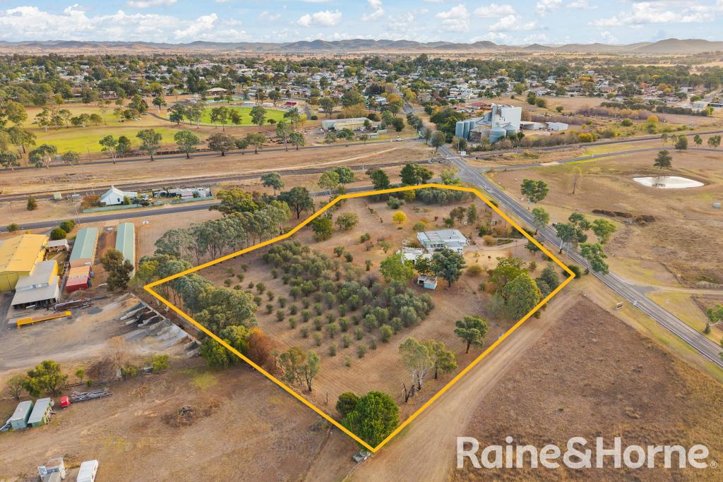 10 Cope Rd, Gulgong, NSW 2852