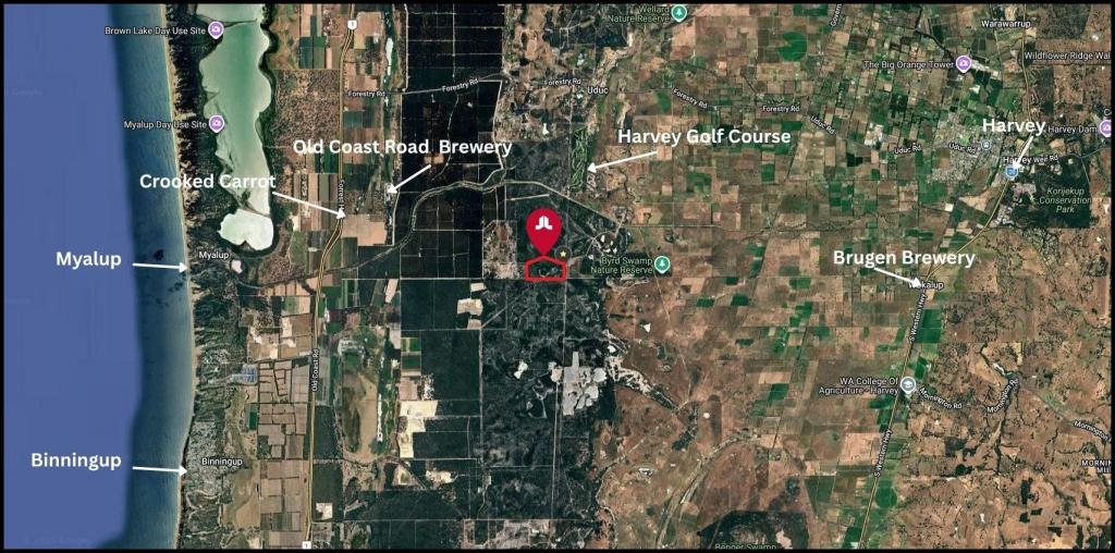 LOT 99 BOONILUP RD, MYALUP, WA 6220