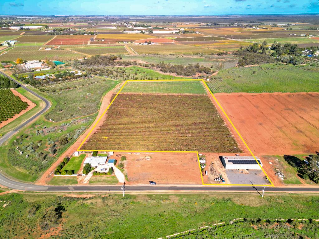 343 Pawson Ave, Cardross, VIC 3496