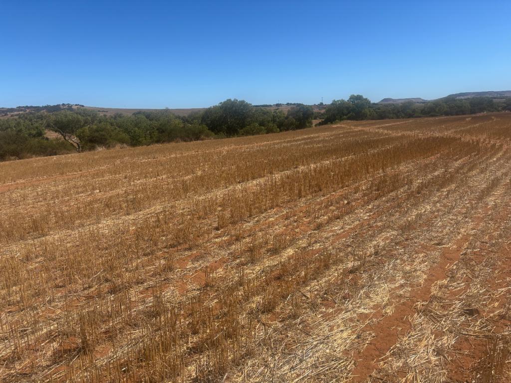 Lot 1 Giles Rd, Moonyoonooka, WA 6532